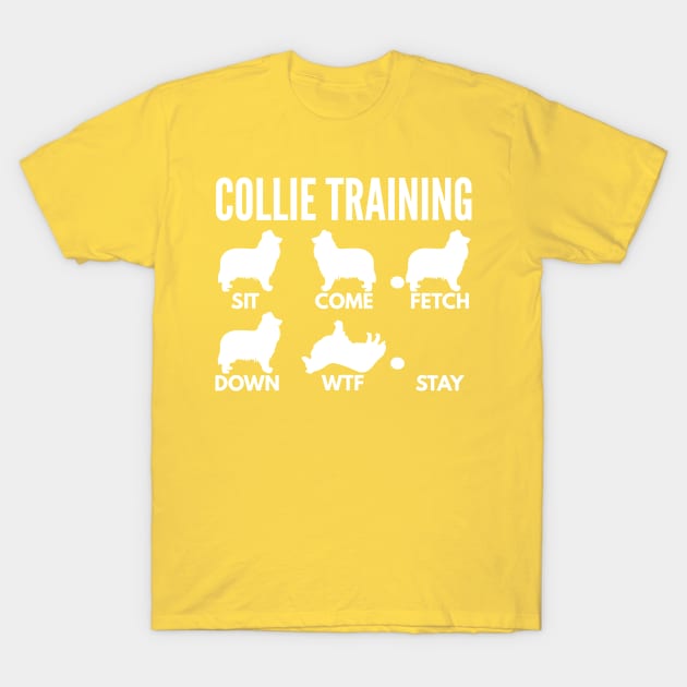 Rough Collie Training Rough Collie Dog Tricks T-Shirt by DoggyStyles